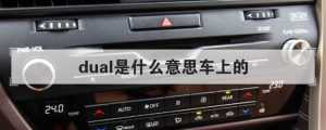dual汽车按键是什么意思（dual汽车按键需要打开吗）看最鲜网，看新知识-提供各类互联网项目，互联网副业，职场技能课程，股票期货投资, 校园课程，升学考试等有价值的知识看最鲜网，看新知识