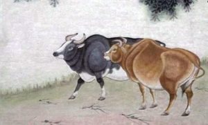 天衣无缝是指什么生肖（天衣无缝解释意思是什么生肖）看最鲜网，看新知识-提供各类互联网项目，互联网副业，职场技能课程，股票期货投资, 校园课程，升学考试等有价值的知识看最鲜网，看新知识