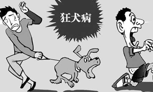 狂犬病潜伏期多长时间（90天还是狂犬病的潜伏期吗）看最鲜网，看新知识-提供各类互联网项目，互联网副业，职场技能课程，股票期货投资, 校园课程，升学考试等有价值的知识看最鲜网，看新知识