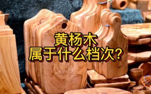 黄杨木属于什么档次（黄杨木什么档次的木材）看最鲜网，看新知识-提供各类互联网项目，互联网副业，职场技能课程，股票期货投资, 校园课程，升学考试等有价值的知识看最鲜网，看新知识