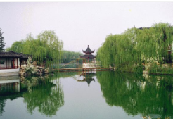 平度市属于哪个市(平度市在哪个省)看最鲜网，看新知识-提供各类互联网项目，互联网副业，职场技能课程，股票期货投资, 校园课程，升学考试等有价值的知识看最鲜网，看新知识