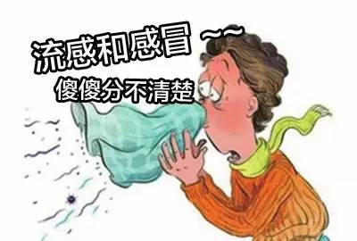流感症状主要表现有哪些（怎么判断是不是流感）看最鲜网，看新知识-提供各类互联网项目，互联网副业，职场技能课程，股票期货投资, 校园课程，升学考试等有价值的知识看最鲜网，看新知识
