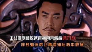 卫青为什么被灭九族（卫青为什么被满门抄斩）看最鲜网，看新知识-提供各类互联网项目，互联网副业，职场技能课程，股票期货投资, 校园课程，升学考试等有价值的知识看最鲜网，看新知识