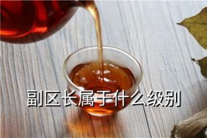 副区长属于什么级别（区长属于什么行政级别）看最鲜网，看新知识-提供各类互联网项目，互联网副业，职场技能课程，股票期货投资, 校园课程，升学考试等有价值的知识看最鲜网，看新知识