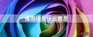 头撞南墙什么意思（撞南墙是用来比喻什么）看最鲜网，看新知识-提供各类互联网项目，互联网副业，职场技能课程，股票期货投资, 校园课程，升学考试等有价值的知识看最鲜网，看新知识