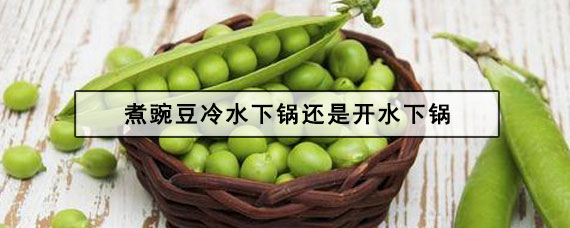 煮豌豆冷水下锅还是开水下锅（豌豆焯水用冷水还是热水）看最鲜网，看新知识-提供各类互联网项目，互联网副业，职场技能课程，股票期货投资, 校园课程，升学考试等有价值的知识看最鲜网，看新知识