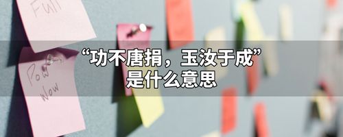 功不唐捐玉汝于成什么意思（功不唐捐是什么意思）看最鲜网，看新知识-提供各类互联网项目，互联网副业，职场技能课程，股票期货投资, 校园课程，升学考试等有价值的知识看最鲜网，看新知识