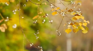 2023处暑是代表夏天过完了吗看最鲜网，看新知识-提供各类互联网项目，互联网副业，职场技能课程，股票期货投资, 校园课程，升学考试等有价值的知识看最鲜网，看新知识