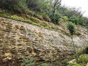 页岩是什么岩石（页岩的最大特点是什么）看最鲜网，看新知识-提供各类互联网项目，互联网副业，职场技能课程，股票期货投资, 校园课程，升学考试等有价值的知识看最鲜网，看新知识