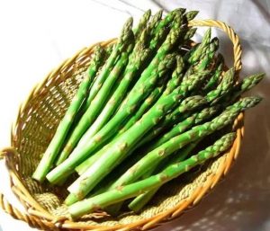 芦笋的功效与作用（芦笋必须先焯水吗）看最鲜网，看新知识-提供各类互联网项目，互联网副业，职场技能课程，股票期货投资, 校园课程，升学考试等有价值的知识看最鲜网，看新知识