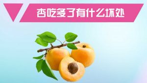 杏子吃了有什么好处和坏处（杏子的功效与作用禁忌）看最鲜网，看新知识-提供各类互联网项目，互联网副业，职场技能课程，股票期货投资, 校园课程，升学考试等有价值的知识看最鲜网，看新知识