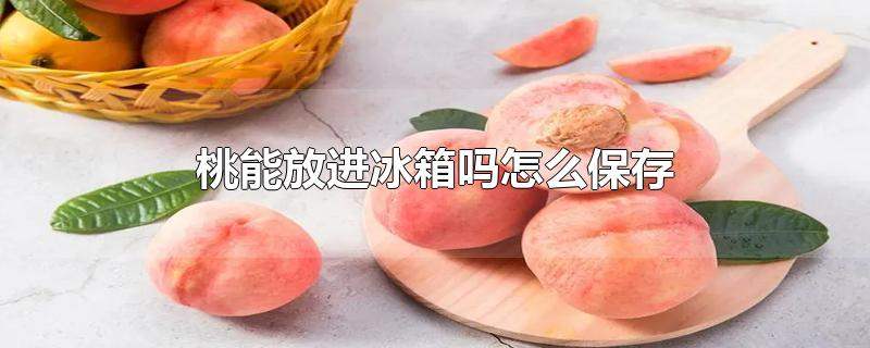 桃子可以放冰箱冷藏吗，桃子冰箱里可以保存吗