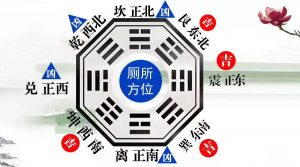 卫生间在哪个方位最好（卫生间在家的哪个方位好）看最鲜网，看新知识-提供各类互联网项目，互联网副业，职场技能课程，股票期货投资, 校园课程，升学考试等有价值的知识看最鲜网，看新知识