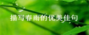 密密的春雨像什么的句子（密密的细雨像什么一样）看最鲜网，看新知识-提供各类互联网项目，互联网副业，职场技能课程，股票期货投资, 校园课程，升学考试等有价值的知识看最鲜网，看新知识