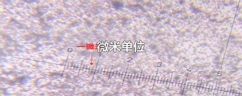 一微米等于多少米啊（微米μm等于多少米）看最鲜网，看新知识-提供各类互联网项目，互联网副业，职场技能课程，股票期货投资, 校园课程，升学考试等有价值的知识看最鲜网，看新知识