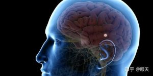 松果体开启最简单的方法（大脑松果体锻炼方法）看最鲜网，看新知识-提供各类互联网项目，互联网副业，职场技能课程，股票期货投资, 校园课程，升学考试等有价值的知识看最鲜网，看新知识