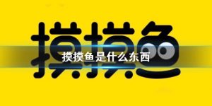 摸摸鱼是什么意思（男生聊天说摸鱼是什么意思）看最鲜网，看新知识-提供各类互联网项目，互联网副业，职场技能课程，股票期货投资, 校园课程，升学考试等有价值的知识看最鲜网，看新知识