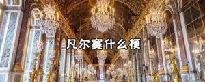 凡尔赛什么意思（网上的凡尔赛是什么意思）看最鲜网，看新知识-提供各类互联网项目，互联网副业，职场技能课程，股票期货投资, 校园课程，升学考试等有价值的知识看最鲜网，看新知识