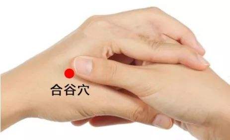 打瞌睡掐哪个部位瞬间清醒（怎样快速清醒不打瞌睡）