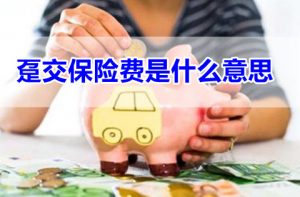 什么叫趸交（保险当中的趸交是什么意思）看最鲜网，看新知识-提供各类互联网项目，互联网副业，职场技能课程，股票期货投资, 校园课程，升学考试等有价值的知识看最鲜网，看新知识