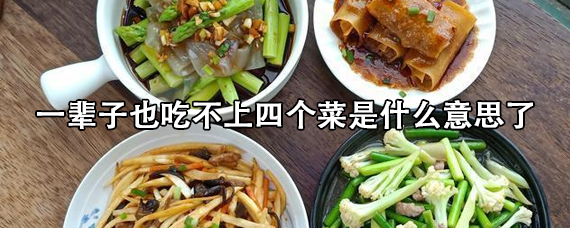 什么是四个菜?（四个菜到底是啥意思）看最鲜网，看新知识-提供各类互联网项目，互联网副业，职场技能课程，股票期货投资, 校园课程，升学考试等有价值的知识看最鲜网，看新知识