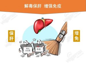 保肝护肝最好的药排名（保肝护肝的中药）看最鲜网，看新知识-提供各类互联网项目，互联网副业，职场技能课程，股票期货投资, 校园课程，升学考试等有价值的知识看最鲜网，看新知识