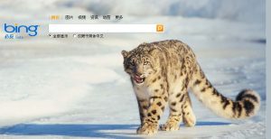 bing是什么意思（bing是什么搜索引擎）看最鲜网，看新知识-提供各类互联网项目，互联网副业，职场技能课程，股票期货投资, 校园课程，升学考试等有价值的知识看最鲜网，看新知识