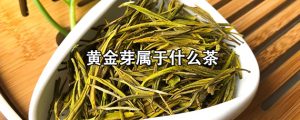 黄金芽属于什么茶（黄金牙是绿茶吗）看最鲜网，看新知识-提供各类互联网项目，互联网副业，职场技能课程，股票期货投资, 校园课程，升学考试等有价值的知识看最鲜网，看新知识