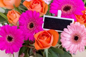 配花的简短文字八个字（花的语录简短）看最鲜网，看新知识-提供各类互联网项目，互联网副业，职场技能课程，股票期货投资, 校园课程，升学考试等有价值的知识看最鲜网，看新知识