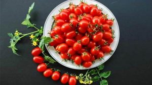 圣女果含糖量高吗（圣女果是高糖还是低糖水果）看最鲜网，看新知识-提供各类互联网项目，互联网副业，职场技能课程，股票期货投资, 校园课程，升学考试等有价值的知识看最鲜网，看新知识