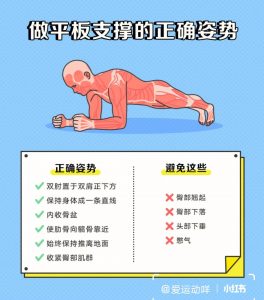 平板支撑正确姿势（平板支撑有什么好处）看最鲜网，看新知识-提供各类互联网项目，互联网副业，职场技能课程，股票期货投资, 校园课程，升学考试等有价值的知识看最鲜网，看新知识