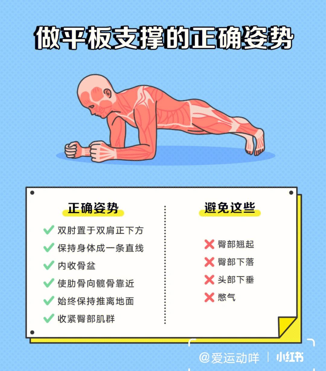 平板支撑正确姿势（平板支撑有什么好处）看最鲜网，看新知识-提供各类互联网项目，互联网副业，职场技能课程，股票期货投资, 校园课程，升学考试等有价值的知识看最鲜网，看新知识
