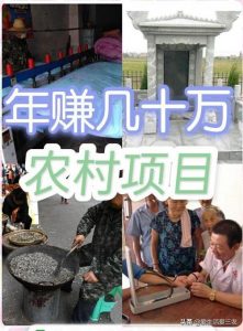 农村最冷门的暴利行业（在农村开什么店挣钱）看最鲜网，看新知识-提供各类互联网项目，互联网副业，职场技能课程，股票期货投资, 校园课程，升学考试等有价值的知识看最鲜网，看新知识