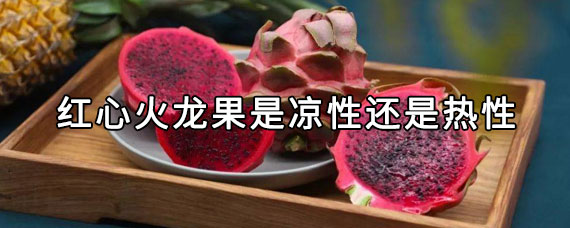 火龙果是热性还是凉性（火龙果是凉性的还是热性的）看最鲜网，看新知识-提供各类互联网项目，互联网副业，职场技能课程，股票期货投资, 校园课程，升学考试等有价值的知识看最鲜网，看新知识