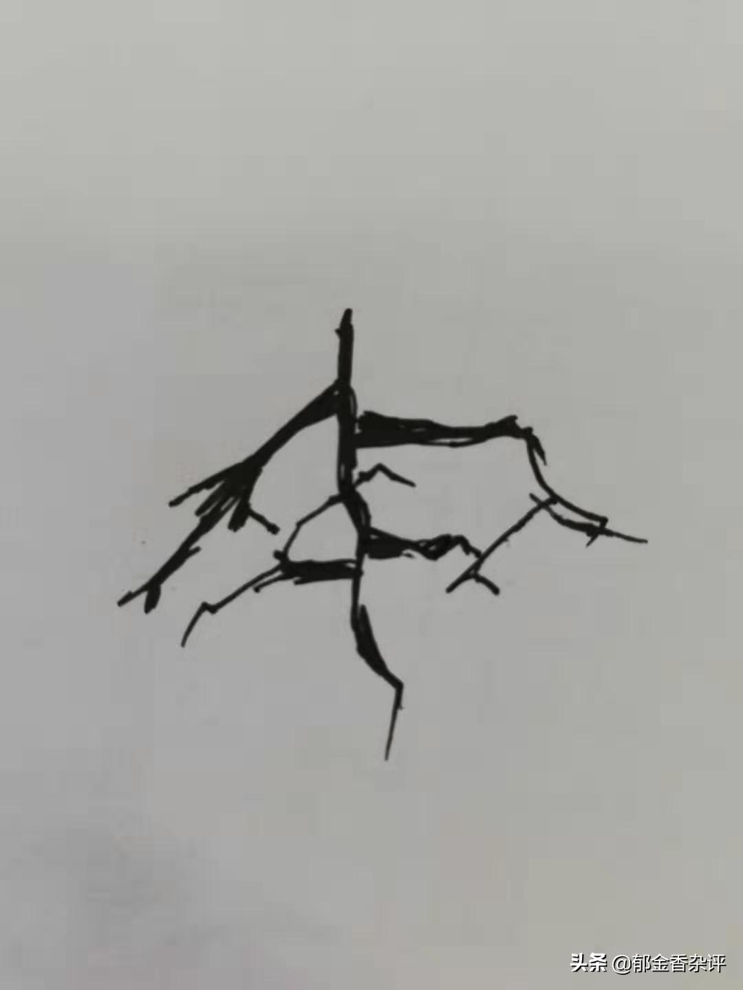 申的部首是什么（申字的部首是什么呀）