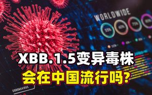 XBB会再度暴击中国吗?专家解读看最鲜网，看新知识-提供各类互联网项目，互联网副业，职场技能课程，股票期货投资, 校园课程，升学考试等有价值的知识看最鲜网，看新知识