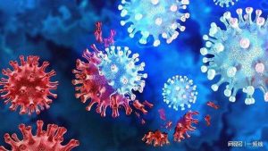 染过“北京株”还会得“广州株”?看最鲜网，看新知识-提供各类互联网项目，互联网副业，职场技能课程，股票期货投资, 校园课程，升学考试等有价值的知识看最鲜网，看新知识