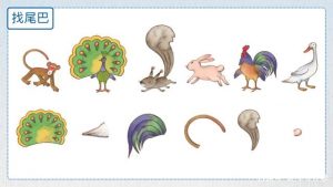 一年级动物尾巴的作用（一年级动物的尾巴可以干什么）看最鲜网，看新知识-提供各类互联网项目，互联网副业，职场技能课程，股票期货投资, 校园课程，升学考试等有价值的知识看最鲜网，看新知识