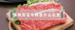 雪花牛肉是牛的哪个部位（牛身上哪块肉是雪花肉）看最鲜网，看新知识-提供各类互联网项目，互联网副业，职场技能课程，股票期货投资, 校园课程，升学考试等有价值的知识看最鲜网，看新知识