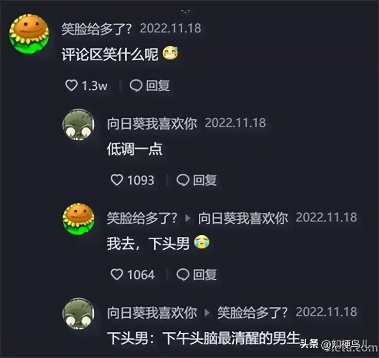 向日葵的花语，向日葵的花语是什么梗 