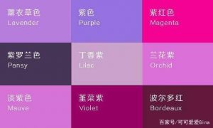 紫色怎么调出来的（怎么混出紫色）看最鲜网，看新知识-提供各类互联网项目，互联网副业，职场技能课程，股票期货投资, 校园课程，升学考试等有价值的知识看最鲜网，看新知识