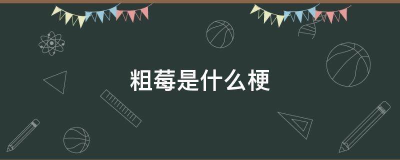 粗莓是什么梗（粗莓是什么意思）看最鲜网，看新知识-提供各类互联网项目，互联网副业，职场技能课程，股票期货投资, 校园课程，升学考试等有价值的知识看最鲜网，看新知识