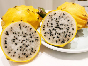 燕窝果的营养价值及功效（燕窝果功效与作用是什么）看最鲜网，看新知识-提供各类互联网项目，互联网副业，职场技能课程，股票期货投资, 校园课程，升学考试等有价值的知识看最鲜网，看新知识