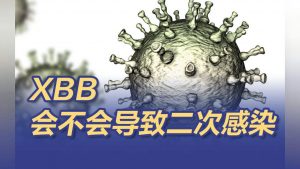 XBB会不会导致二次感染?专家解读看最鲜网，看新知识-提供各类互联网项目，互联网副业，职场技能课程，股票期货投资, 校园课程，升学考试等有价值的知识看最鲜网，看新知识