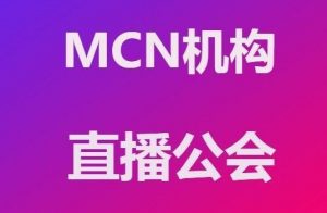 mcn机构是什么意思（mcn机构是干嘛的）看最鲜网，看新知识-提供各类互联网项目，互联网副业，职场技能课程，股票期货投资, 校园课程，升学考试等有价值的知识看最鲜网，看新知识