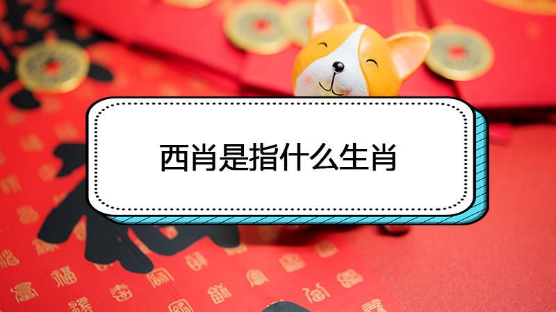 西肖是指什么生肖（十二生肖西肖是哪几个）看最鲜网，看新知识-提供各类互联网项目，互联网副业，职场技能课程，股票期货投资, 校园课程，升学考试等有价值的知识看最鲜网，看新知识