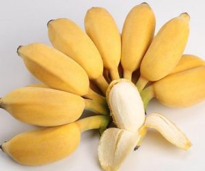 苹果蕉的功效与作用看最鲜网，看新知识-提供各类互联网项目，互联网副业，职场技能课程，股票期货投资, 校园课程，升学考试等有价值的知识看最鲜网，看新知识