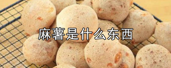 麻薯是什么东西（麻薯是什么材料做的）看最鲜网，看新知识-提供各类互联网项目，互联网副业，职场技能课程，股票期货投资, 校园课程，升学考试等有价值的知识看最鲜网，看新知识