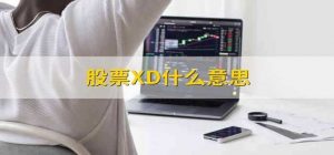 xd股票是什么意思（XD在股票里代表什么）看最鲜网，看新知识-提供各类互联网项目，互联网副业，职场技能课程，股票期货投资, 校园课程，升学考试等有价值的知识看最鲜网，看新知识