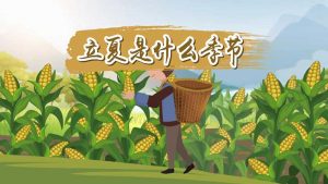 立夏是夏天的开始吗（什么节气是夏天的开始）看最鲜网，看新知识-提供各类互联网项目，互联网副业，职场技能课程，股票期货投资, 校园课程，升学考试等有价值的知识看最鲜网，看新知识